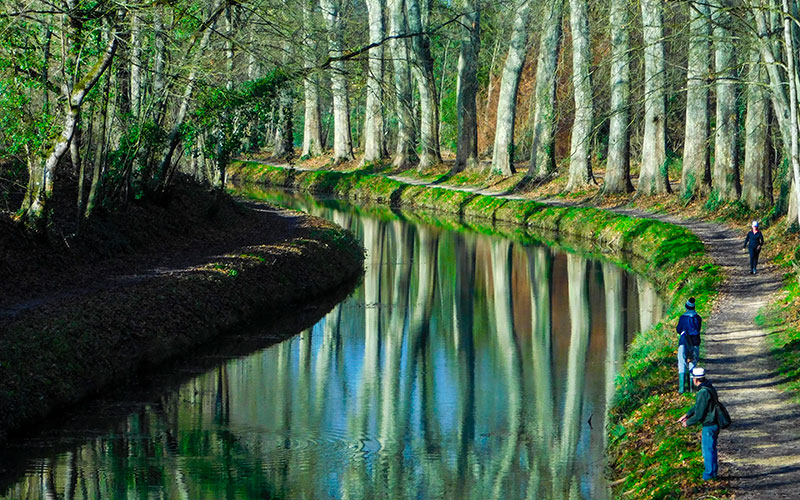Canal de Berry